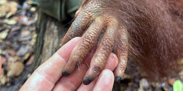 17:15: 360° Reportage | Arte | 2/19 2026