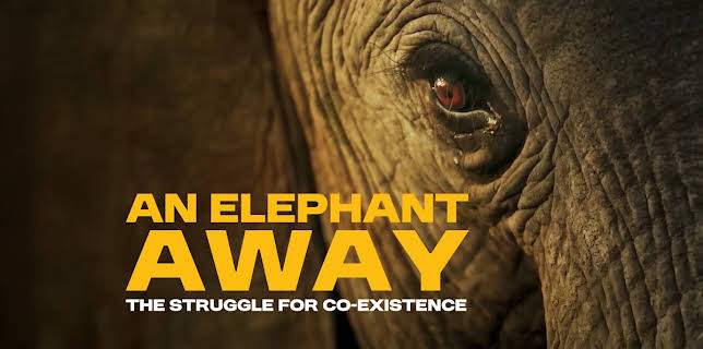 An Elephant Away (2025)