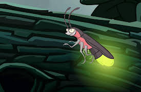 I'm a Creepy Crawly: Firefly