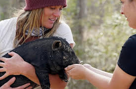 Homestead Rescue Season 1: Under Siege