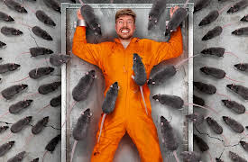 MrBeast: Epic Adventures!: Face Your Biggest Fear To Win $800,000