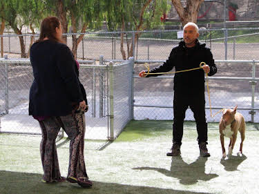 05:00: Cesar Millan: Better Human Better Dog - Bessere Menschen, bessere Hunde | Sixx | 6/28 2026