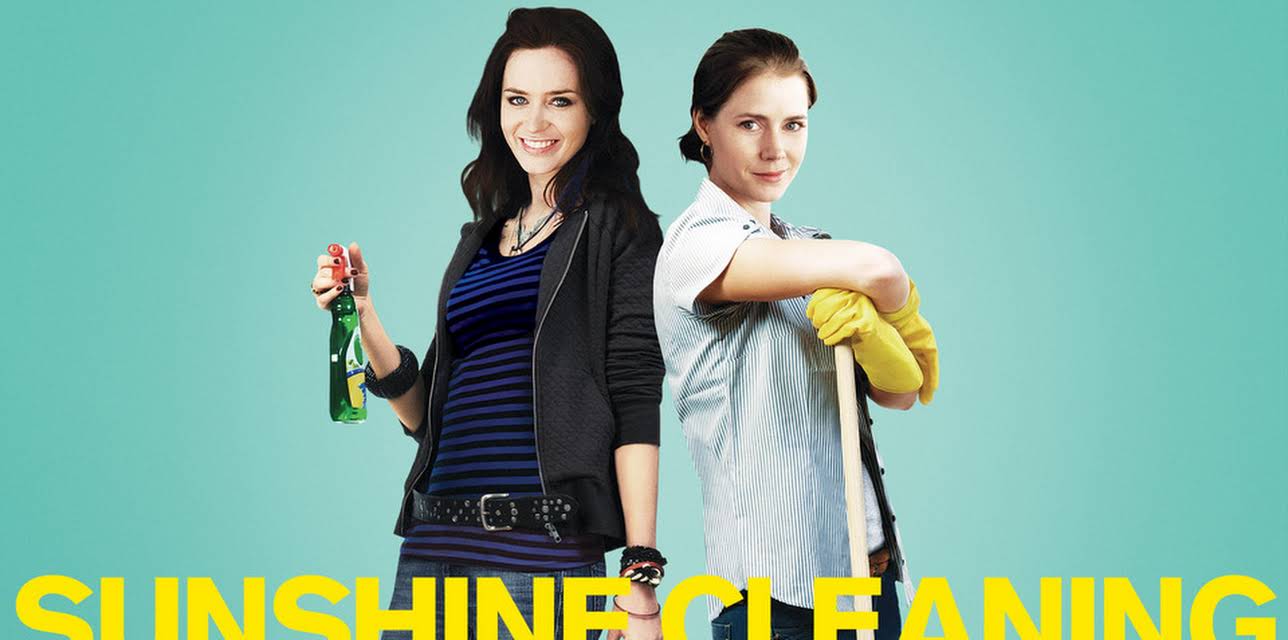 Sunshine Cleaning (2009)