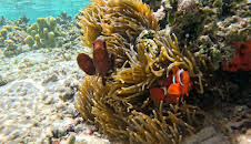 Woher wissen wir das?