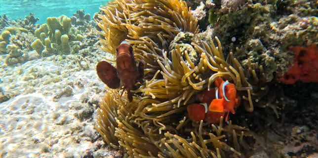 05:45: Woher wissen wir das? | SR Fernsehen | 3/25 2026