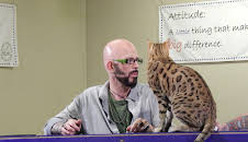 My Cat From Hell (S7 E1)