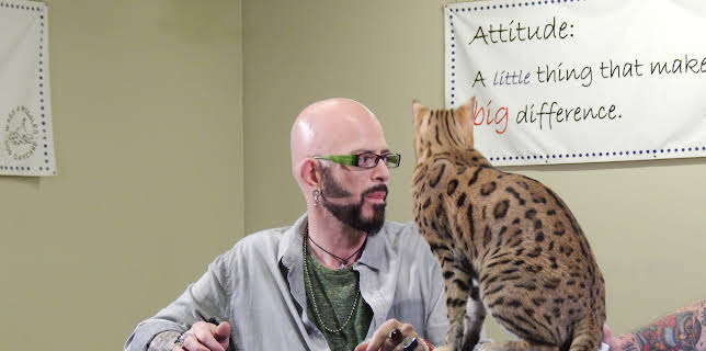 06:25: My Cat From Hell (S7 E1) (S7) | TLC | 1/7 2026