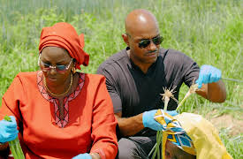 Discovering West Africa: Ghana, Senegal, Cameroon: Senegalese Wrestling, Farming, Griot, and Dunes