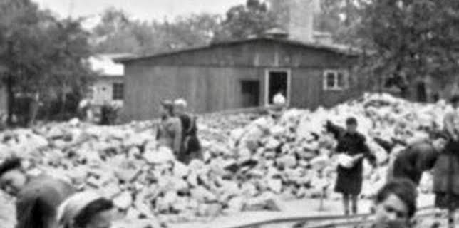 21:06: Auschwitz, des survivants racontent | TV5MONDE | 1/26 2026