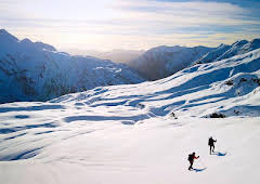 Nature and Us: A History through Art