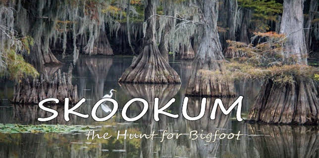 SKOOKUM: The Hunt for Bigfoot (2017)