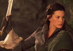 Lord Of The Rings: Fellowship Of The Ring