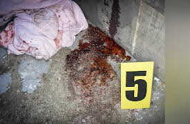 Paranormal Emergency, Season 1: There's No Training for This