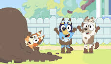 Bluey