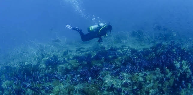 6:00 PM: Drain The Oceans (S4 E5) (S4) | 5 Select | 11/5 2025