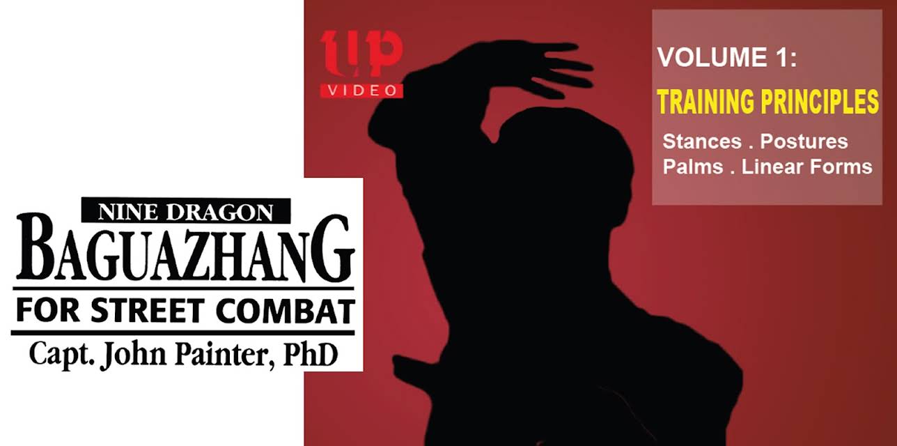 Nine Dragon Baguazhang For Street Combat Capt John Painter PHD Vol1 Training Principles