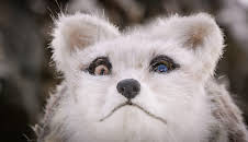 Undercover unter Tieren: Auf geheimer Mission an den Polen dieser Welt