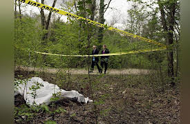 Murder By Numbers Season 1: Blood Mountain