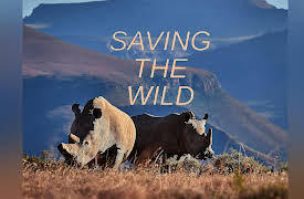 Saving the Wild: Big Cats