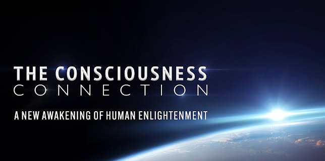 The Consciousness Connection (2025)