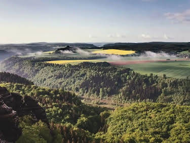 16:15: ... die Sie kennen sollten | SWR Fernsehen RP | 5/25 2026