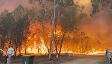 World's Deadliest Weather: Caught on Camera (S6 E11)