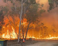World's Deadliest Weather: Caught on Camera