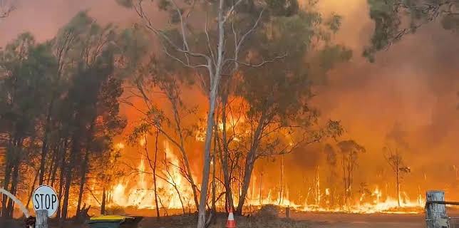 9:00 PM: World's Deadliest Weather: Caught on Camera | Paramount | 12/3 2025