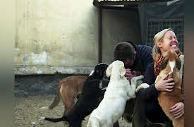 Dodo Heroes Season 1: Pen and the Dogs of War