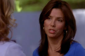 Desperate Housewives -  Season 1: Your Fault