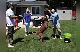 Animal Cribs Season 1: Football Pup Palace