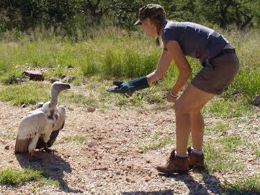 10:50: Das Waisenhaus für wilde Tiere - Abenteuer Afrika | SWR Fernsehen RP | 7/10 2026