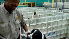 Animal Cops Philadelphia (S12 E10)