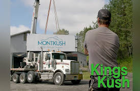 Kings of Kush: It's Our Lucky Day