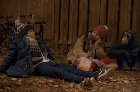 Jane: Panthera tigris