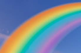 Guillermo And Will: Season 1: Colors / Colores