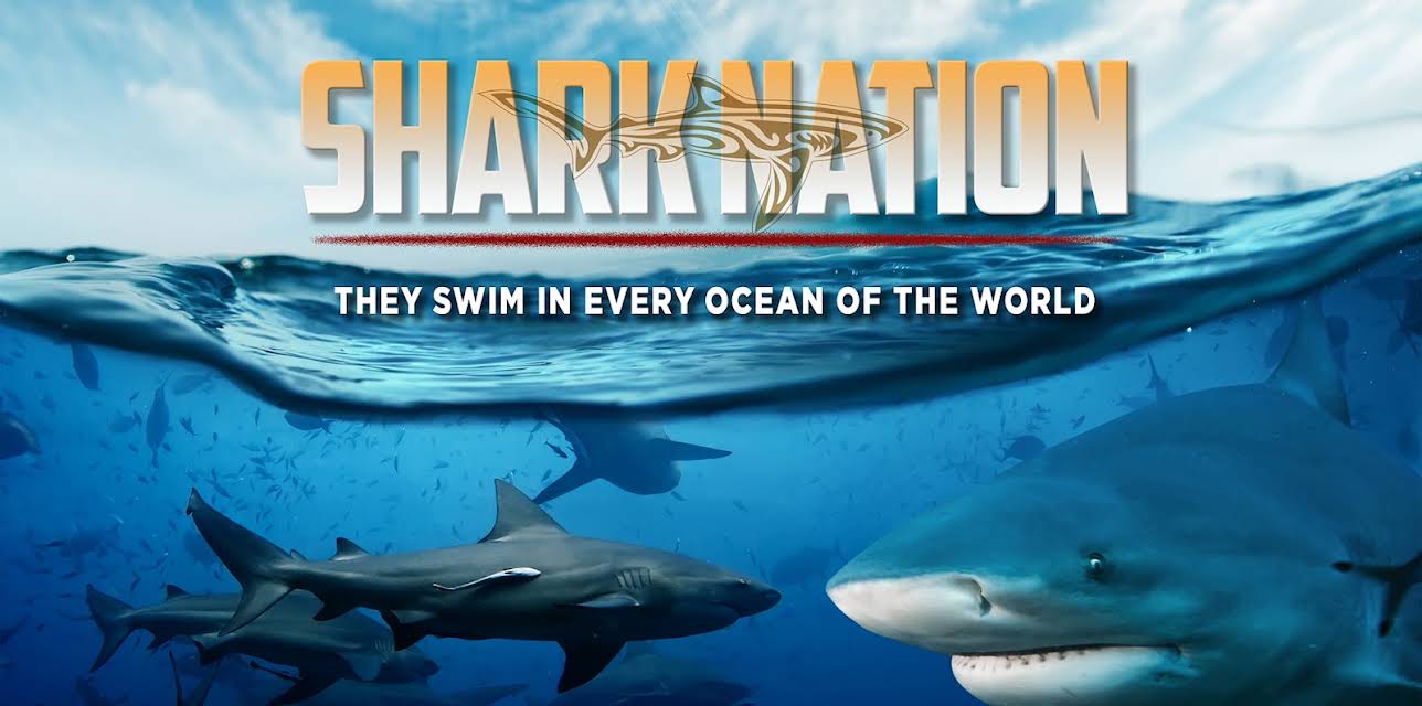 Shark Nation (2013)