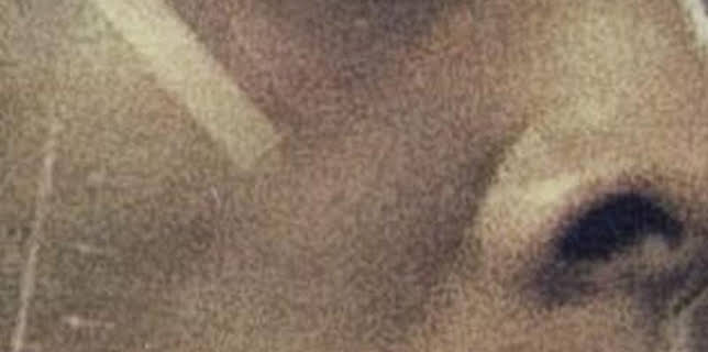 Todos los goles de Ronaldo Nazario en LaLiga