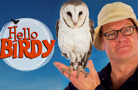 Hello Birdy: Ancient Birds