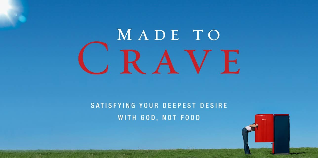 Made to Crave Video Bible Study by Lysa TerKeurst