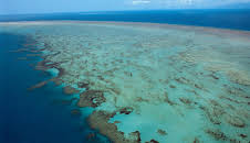 Planet Earth (S1 E10)