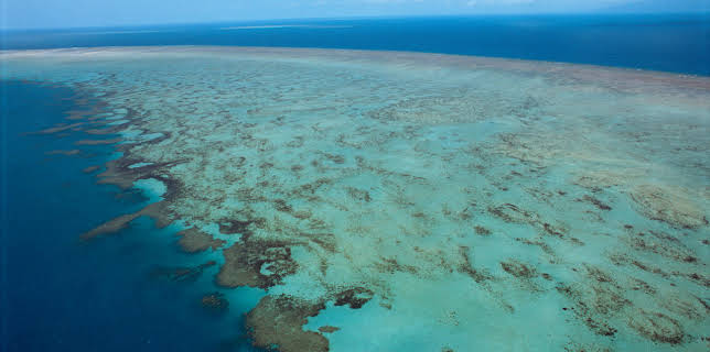 6:00 PM: Planet Earth (S1 E10) (S1) | Yesterday | 11/16 2025