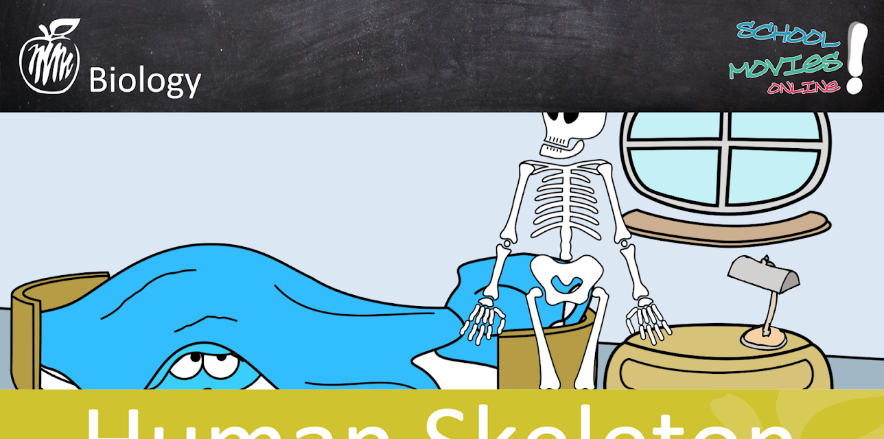 Human Skeleton - School Movie on Biology
