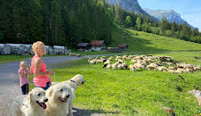 Schweizer Hundegeschichten: Herdenschutzhunde - Die alpinen Beschützer gegen Wolf & Co.