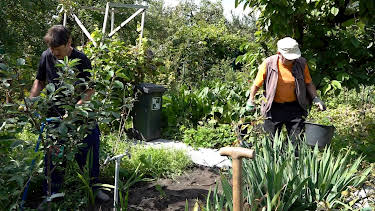 14:15: Von Hecke zu Hecke - Bunte Beetgeschichten (S2 E1) (S2) | RTL 2 | 6/21 2026