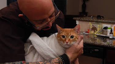 16:00: My Cat From Hell (S5 E3) (S5) | Animal Planet | 4/3 2026