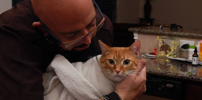 16:00: My Cat From Hell (S5 E3) (S5) | Animal Planet | 1/3 2026