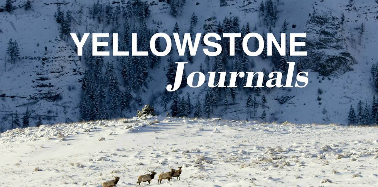 Yellowstone Journals