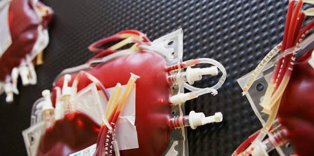 3:00 PM: How It's Made (S13) | Discovery Channel | 3/19 2026