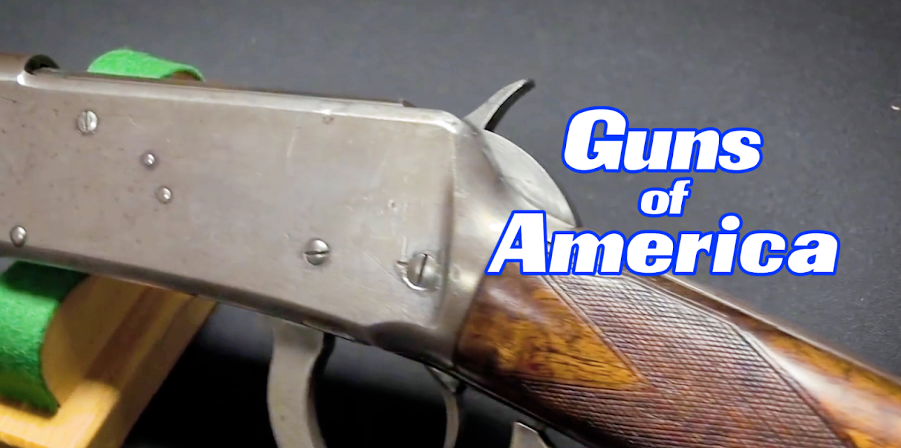 Guns of America (2018)